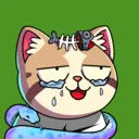 crycat60