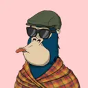 ChilledKong4727
