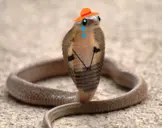 SADSNEK