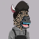 ZESTYZEBRA4357