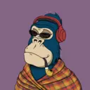 ChilledKong6793