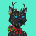 XMASCats479
