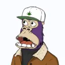 ChilledKong1943