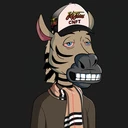 ZESTYZEBRA1746