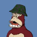 ChilledKong4264