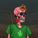 Cadaver Pot Club #5469