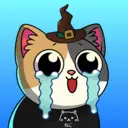 crycat1378