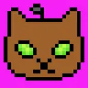 name6694