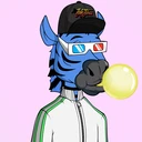ZESTYZEBRA4110