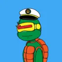 TTSTurtle1572