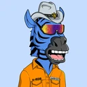 ZESTYZEBRA3850