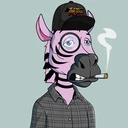ZESTYZEBRA4631