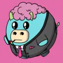 Bubulls1634