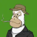 ChilledKong4698