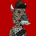 ZESTYZEBRA5484