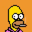 HomerPunks3969