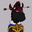 ZESTYZEBRA1679