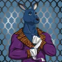 kangaroofightsociety#1860