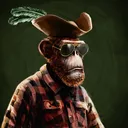 adapeBlasAmato