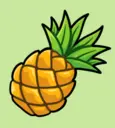 PINEAPPLE