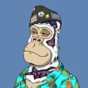 ChilledKong0619