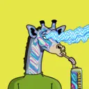 GenuineGiraffe_1722