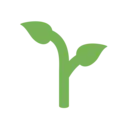🌱