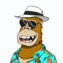 ChilledKong3033