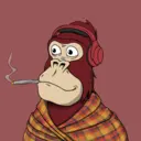 ChilledKong4659