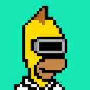 HomerPunks5339