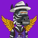 ZESTYZEBRA738