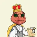 MiniAegisDaila