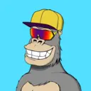 ChilledKong6508