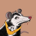 Possum #576