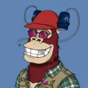 ChilledKong4146