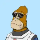 ChilledKong8645