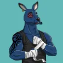 kangaroofightsociety#2900