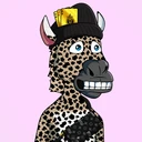 ZESTYZEBRA3950