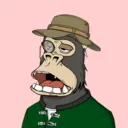 ChilledKong8428