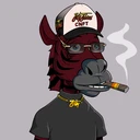 ZESTYZEBRA643