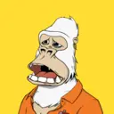 ChilledKong3251