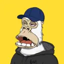 ChilledKong4387