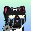 crycat2216