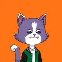 bozokatz67