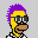HomerPunks8954