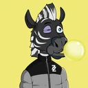 ZESTYZEBRA4027