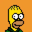 HomerPunks6117