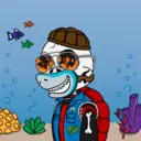 TTSTurtle948