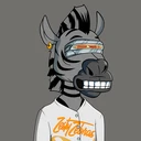 ZESTYZEBRA2939