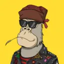 ChilledKong1551